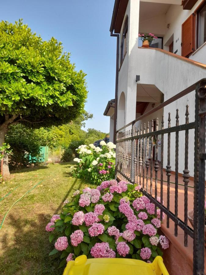 Villa Iva Poreč Extérieur photo